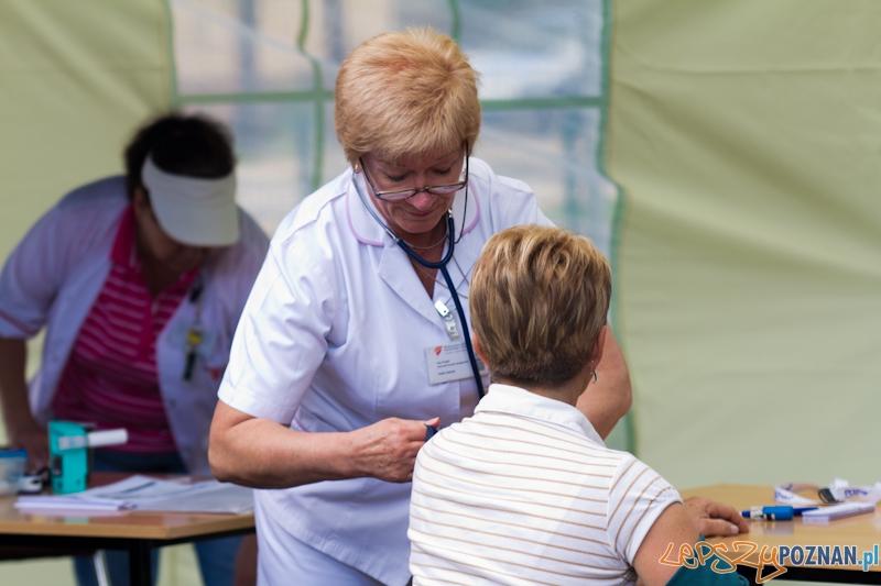 Piknik Medyczny zorganizowany przez Wielkopolskie Centrum Pulmonologii i Torakochirurgii Foto: lepszyPOZNAN.pl / Piotr Rychter Piknik Medyczny zorganizowany przez Wielkopolskie Centrum Pulmonologii i Torakochirurgii Foto: lepszyPOZNAN.pl / Piotr Rychter