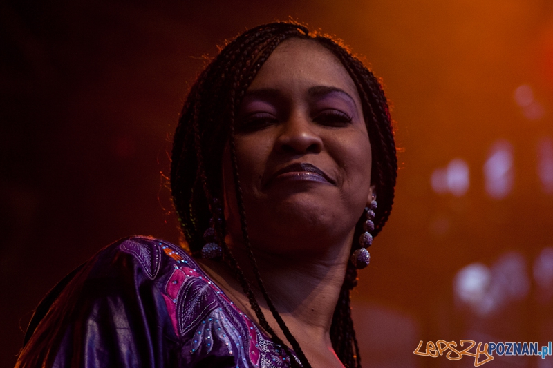 Ethno Port Prolog - Poznań 21.07.2012 r. Foto: LepszyPOZNAN.pl / Paweł Rychter Ethno Port Prolog - Poznań 21.07.2012 r. Foto: LepszyPOZNAN.pl / Paweł Rychter