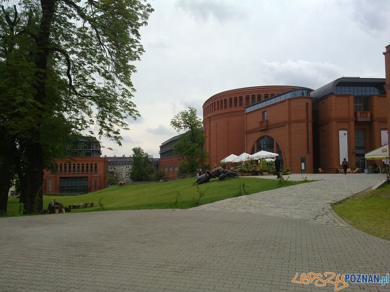 Gigantyczne owady w Starym Browarze (12) Foto: Gigantyczne owady w Starym Browarze (12) Foto: