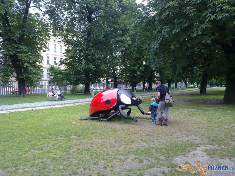 Gigantyczne owady w Starym Browarze (16) Foto: Gigantyczne owady w Starym Browarze (16) Foto: