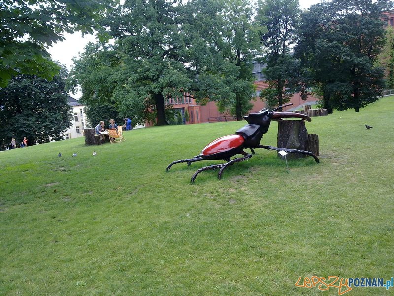 Gigantyczne owady w Starym Browarze (2) Foto: Gigantyczne owady w Starym Browarze (2) Foto: