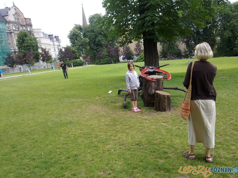 Gigantyczne owady w Starym Browarze (3) Foto: Gigantyczne owady w Starym Browarze (3) Foto: