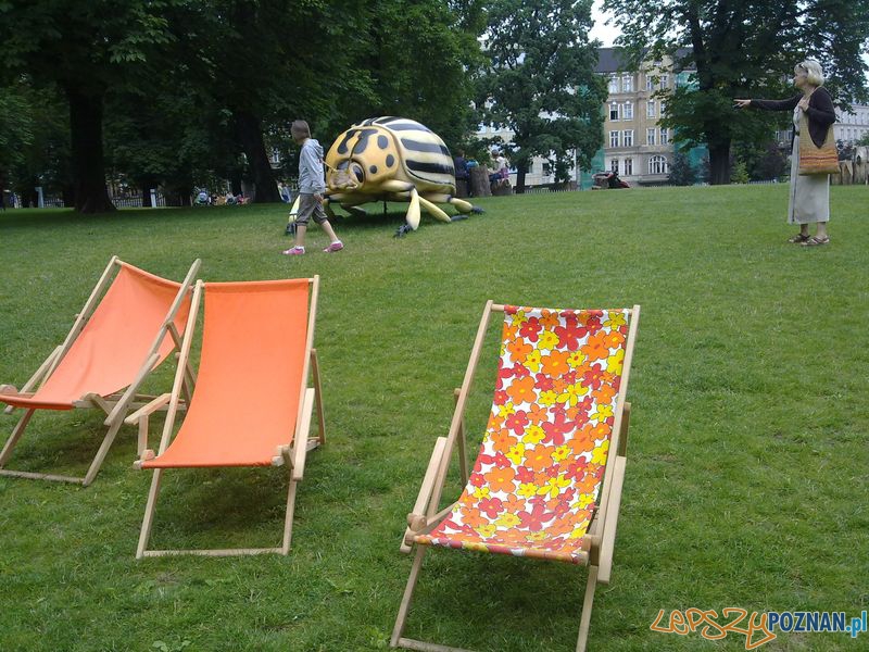 Gigantyczne owady w Starym Browarze (5) Foto: Gigantyczne owady w Starym Browarze (5) Foto: