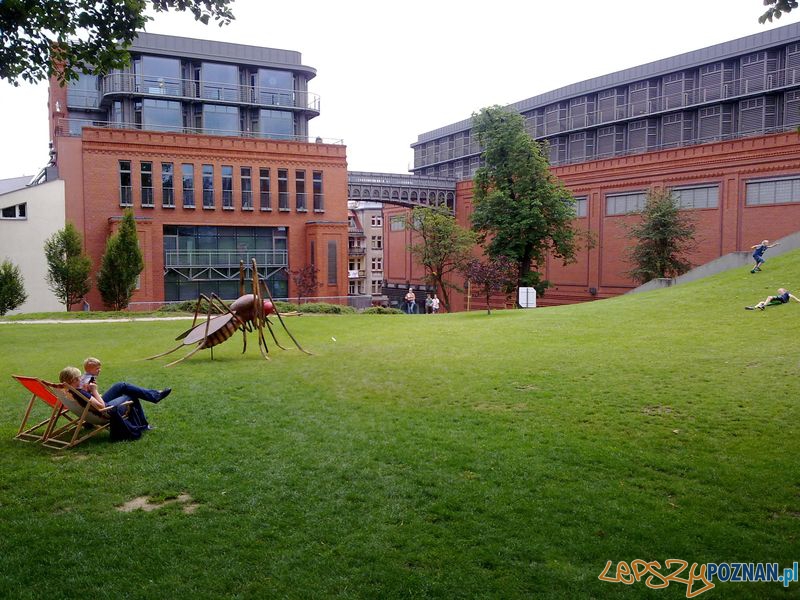 Gigantyczne owady w Starym Browarze (6) Foto: Gigantyczne owady w Starym Browarze (6) Foto: