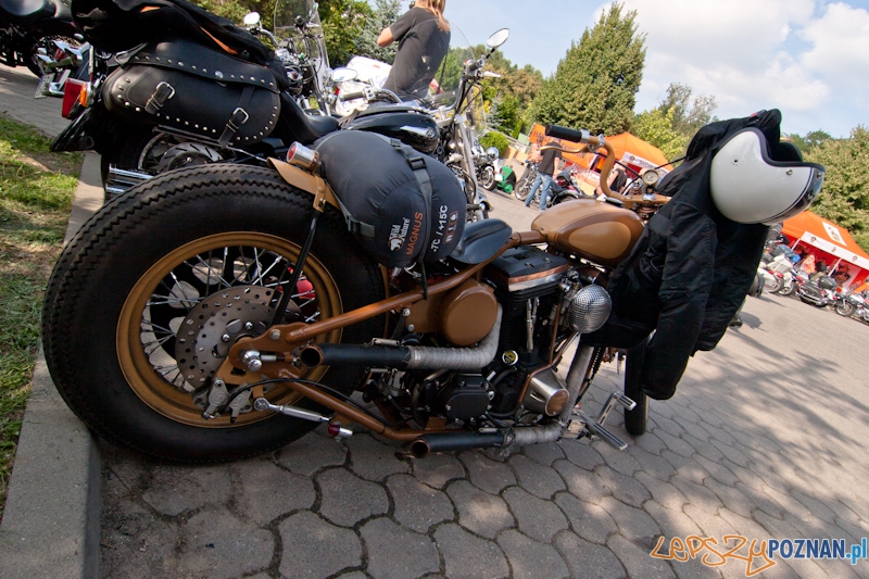 Zlot miłośników marki Harley Davidson Foto: LepszyPOZNAN.pl / Paweł Rychter Zlot miłośników marki Harley Davidson Foto: LepszyPOZNAN.pl / Paweł Rychter