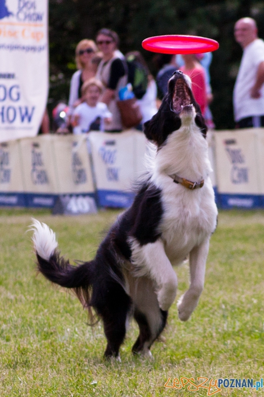 Dog Chow Cup 2012 w parku Cytadela - Poznań 12.08.2012 r. Foto: LepszyPOZNAN.pl / Paweł Rychter Dog Chow Cup 2012 w parku Cytadela - Poznań 12.08.2012 r. Foto: LepszyPOZNAN.pl / Paweł Rychter