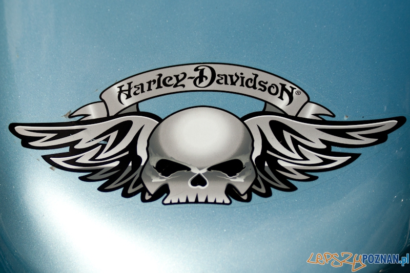 Zlot miłośników marki Harley-Davidson 2012 r Foto: Ewelina Gutowska Zlot miłośników marki Harley-Davidson 2012 r Foto: Ewelina Gutowska