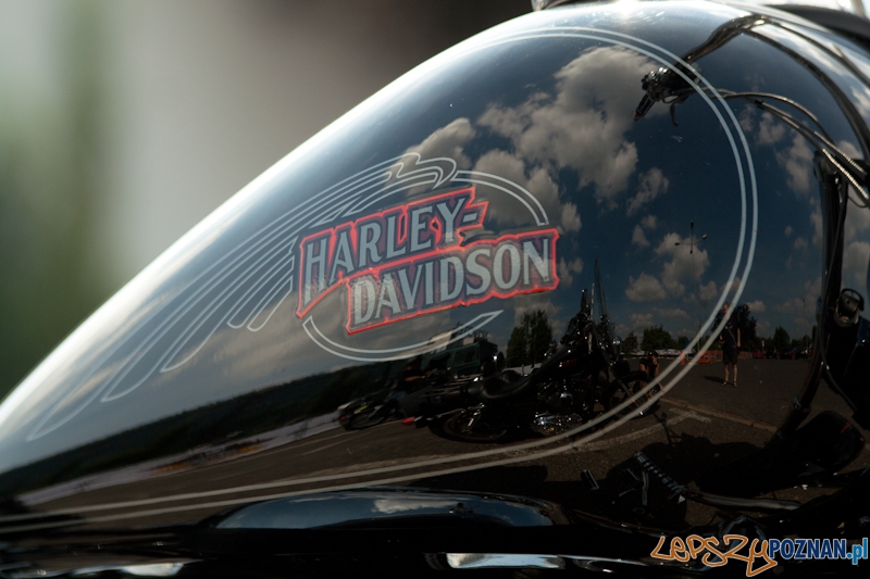 Zlot miłośników marki Harley-Davidson 2012 r Foto: Ewelina Gutowska Zlot miłośników marki Harley-Davidson 2012 r Foto: Ewelina Gutowska