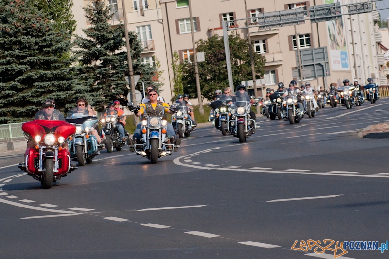 Zlot miłośników marki Harley Davidson Foto: LepszyPOZNAN.pl / Paweł Rychter Zlot miłośników marki Harley Davidson Foto: LepszyPOZNAN.pl / Paweł Rychter