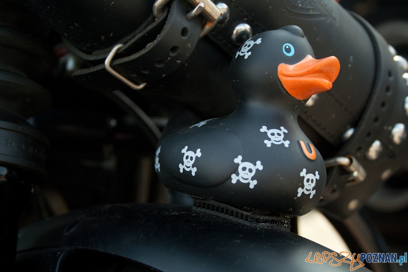 Zlot miłośników marki Harley-Davidson 2012 r Foto: Ewelina Gutowska Zlot miłośników marki Harley-Davidson 2012 r Foto: Ewelina Gutowska