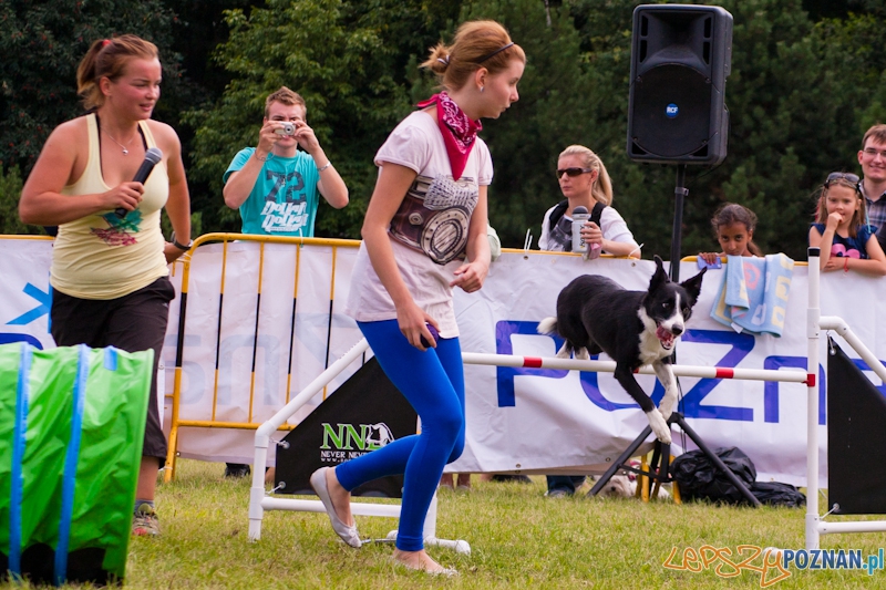 Dog Chow Cup 2012 w parku Cytadela - Poznań 12.08.2012 r. Foto: LepszyPOZNAN.pl / Paweł Rychter Dog Chow Cup 2012 w parku Cytadela - Poznań 12.08.2012 r. Foto: LepszyPOZNAN.pl / Paweł Rychter