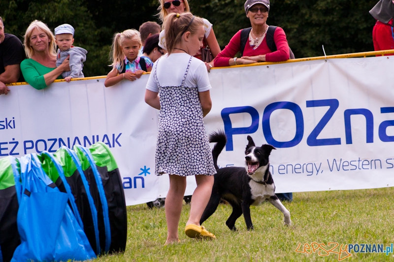 Dog Chow Cup 2012 w parku Cytadela - Poznań 12.08.2012 r. Foto: LepszyPOZNAN.pl / Paweł Rychter Dog Chow Cup 2012 w parku Cytadela - Poznań 12.08.2012 r. Foto: LepszyPOZNAN.pl / Paweł Rychter