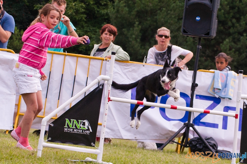 Dog Chow Cup 2012 w parku Cytadela - Poznań 12.08.2012 r. Foto: LepszyPOZNAN.pl / Paweł Rychter Dog Chow Cup 2012 w parku Cytadela - Poznań 12.08.2012 r. Foto: LepszyPOZNAN.pl / Paweł Rychter