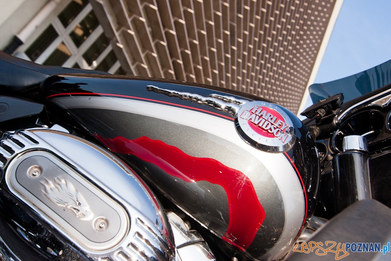 Zlot miłośników marki Harley Davidson Foto: LepszyPOZNAN.pl / Paweł Rychter Zlot miłośników marki Harley Davidson Foto: LepszyPOZNAN.pl / Paweł Rychter