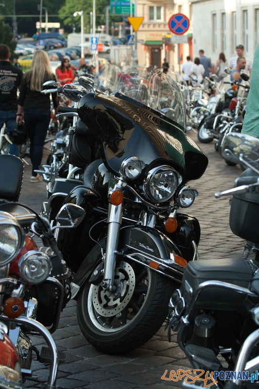 Zlot miłośników marki Harley-Davidson 2012 r Foto: Ewelina Gutowska Zlot miłośników marki Harley-Davidson 2012 r Foto: Ewelina Gutowska