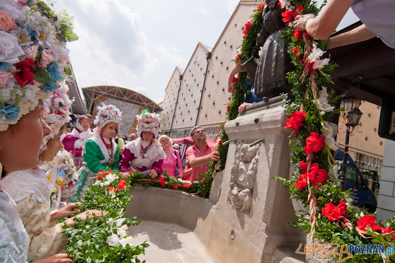 XVII Święto Bamberskie Foto: LepszyPOZNAN.pl / Paweł Rychter XVII Święto Bamberskie Foto: LepszyPOZNAN.pl / Paweł Rychter