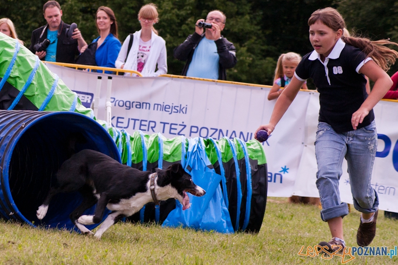 Dog Chow Cup 2012 w parku Cytadela - Poznań 12.08.2012 r. Foto: LepszyPOZNAN.pl / Paweł Rychter Dog Chow Cup 2012 w parku Cytadela - Poznań 12.08.2012 r. Foto: LepszyPOZNAN.pl / Paweł Rychter