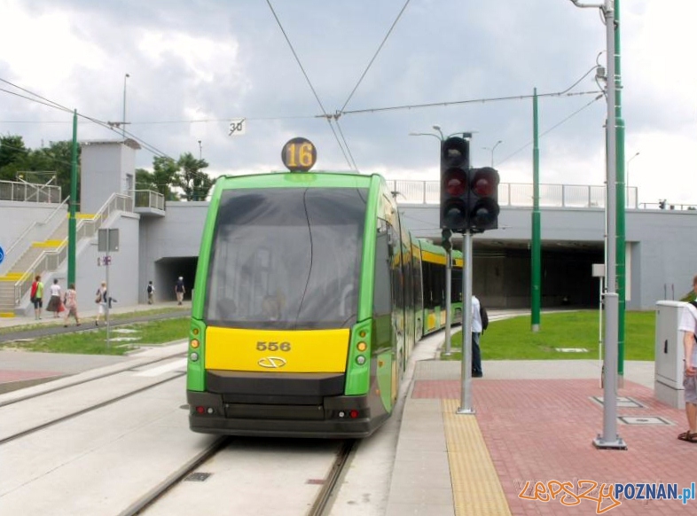 Nowa trasa tramwajowa na Franowo Foto: lazarz.pl Nowa trasa tramwajowa na Franowo Foto: lazarz.pl