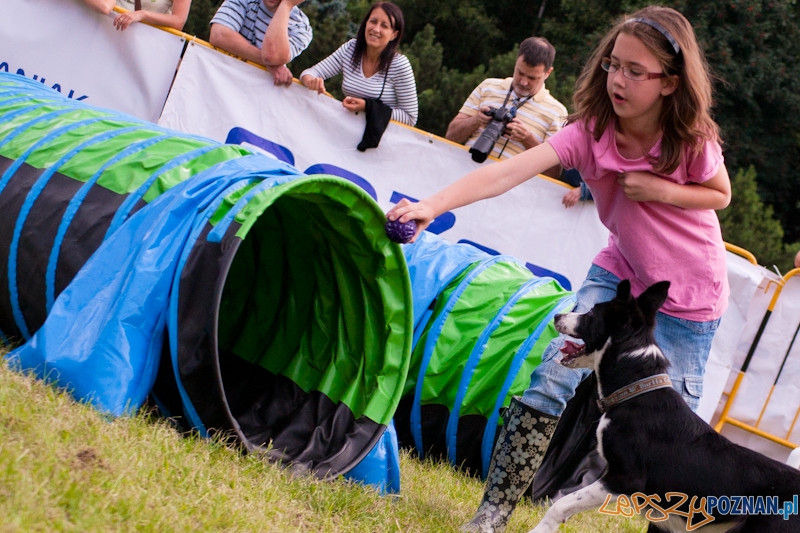 Dog Chow Cup 2012 w parku Cytadela - Poznań 12.08.2012 r. Foto: LepszyPOZNAN.pl / Paweł Rychter Dog Chow Cup 2012 w parku Cytadela - Poznań 12.08.2012 r. Foto: LepszyPOZNAN.pl / Paweł Rychter