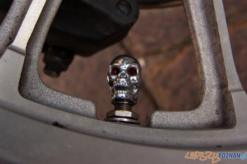 Zlot miłośników marki Harley Davidson Foto: LepszyPOZNAN.pl / Paweł Rychter Zlot miłośników marki Harley Davidson Foto: LepszyPOZNAN.pl / Paweł Rychter