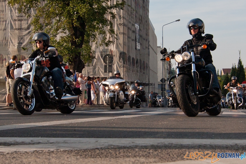 Zlot miłośników marki Harley Davidson Foto: LepszyPOZNAN.pl / Paweł Rychter Zlot miłośników marki Harley Davidson Foto: LepszyPOZNAN.pl / Paweł Rychter