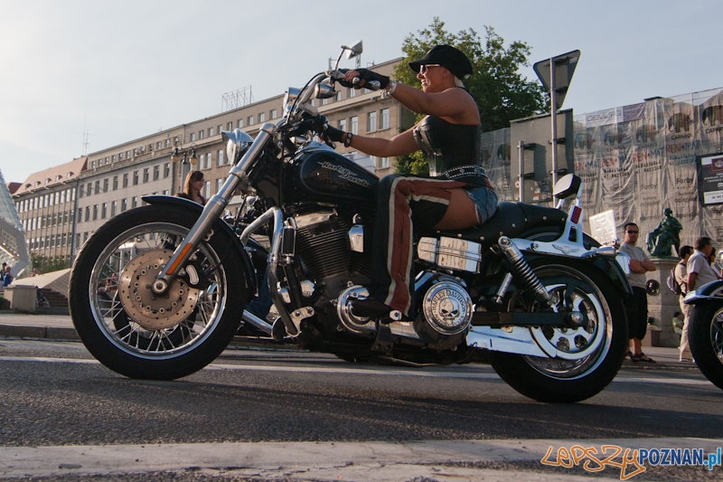 Zlot miłośników marki Harley Davidson Foto: LepszyPOZNAN.pl / Paweł Rychter Zlot miłośników marki Harley Davidson Foto: LepszyPOZNAN.pl / Paweł Rychter