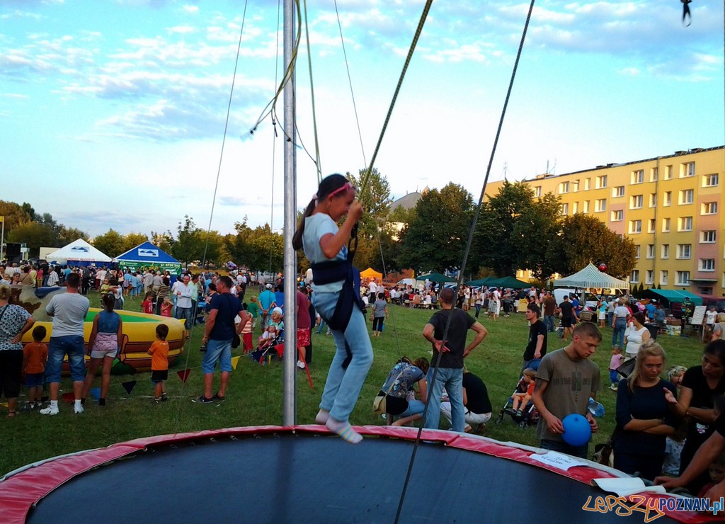 Festyn Country na Ratajach Foto: lepszyPOZNAN.pl / tab Festyn Country na Ratajach Foto: lepszyPOZNAN.pl / tab