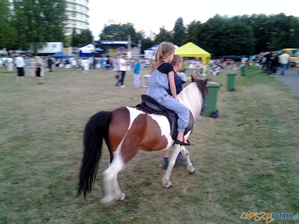 Dni Chartowa 2012 Foto: lepszyPOZNAN.pl / tab Dni Chartowa 2012 Foto: lepszyPOZNAN.pl / tab