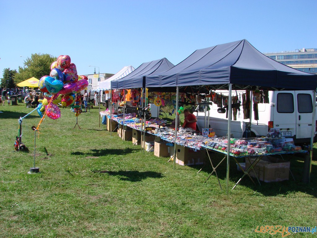Poznański Piknik Rodzinny Foto: lepszyPOZNAN.pl / ag Poznański Piknik Rodzinny Foto: lepszyPOZNAN.pl / ag