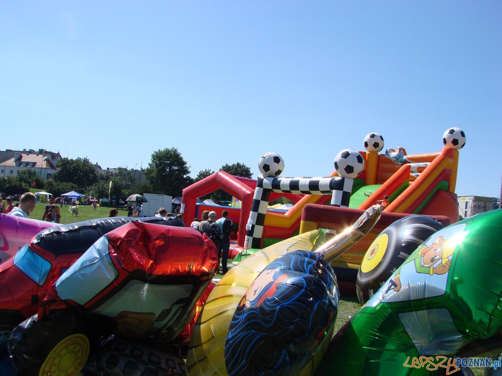 Poznański Piknik Rodzinny Foto: lepszyPOZNAN.pl / ag Poznański Piknik Rodzinny Foto: lepszyPOZNAN.pl / ag