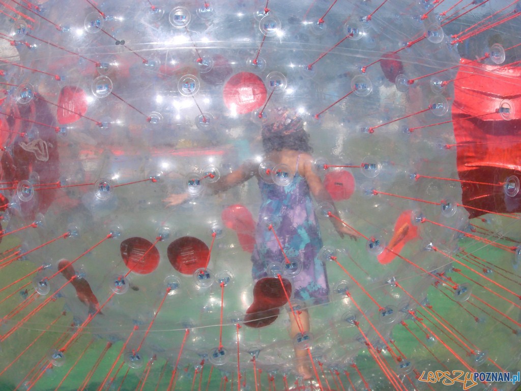 Poznański Piknik Rodzinny Foto: lepszyPOZNAN.pl / ag Poznański Piknik Rodzinny Foto: lepszyPOZNAN.pl / ag