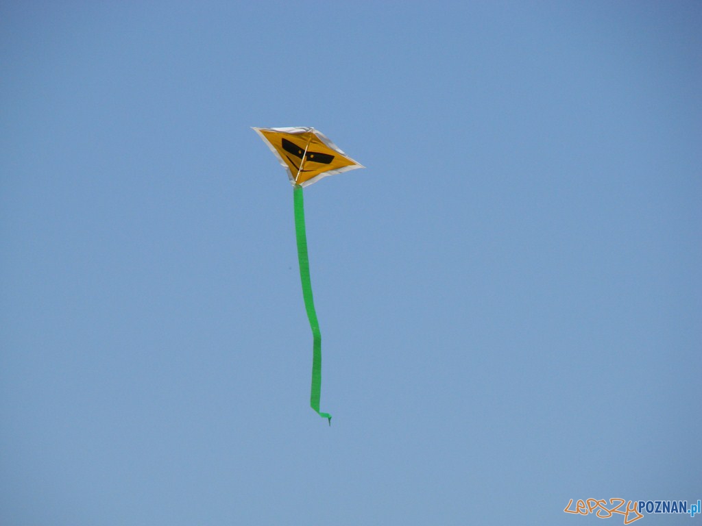 Poznański Piknik Rodzinny Foto: lepszyPOZNAN.pl / ag Poznański Piknik Rodzinny Foto: lepszyPOZNAN.pl / ag