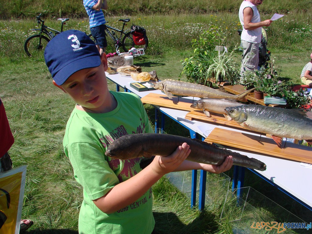 Poznański Piknik Rodzinny Foto: lepszyPOZNAN.pl / ag Poznański Piknik Rodzinny Foto: lepszyPOZNAN.pl / ag