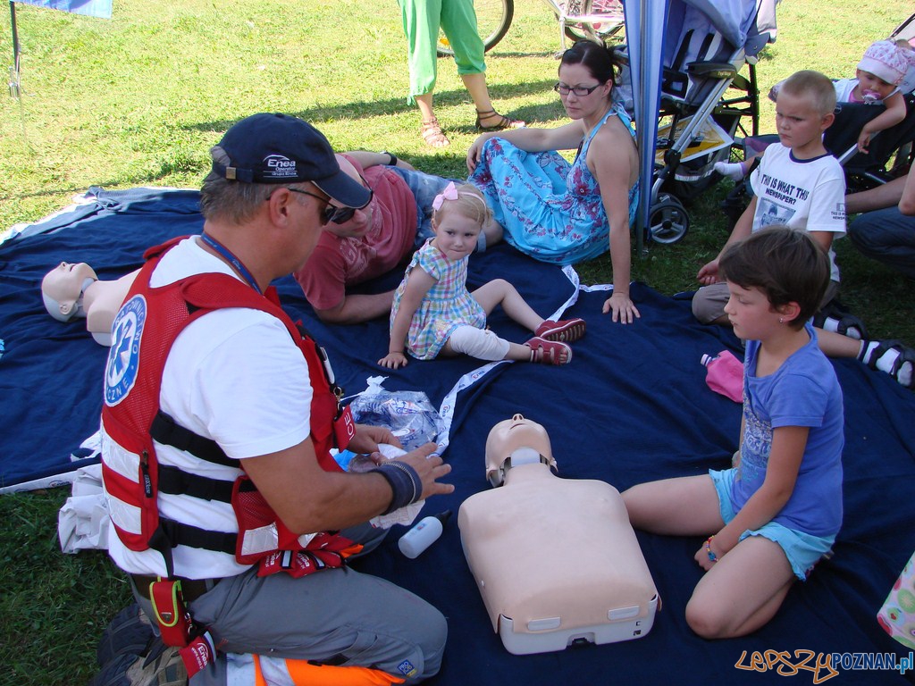 Poznański Piknik Rodzinny Foto: lepszyPOZNAN.pl / ag Poznański Piknik Rodzinny Foto: lepszyPOZNAN.pl / ag