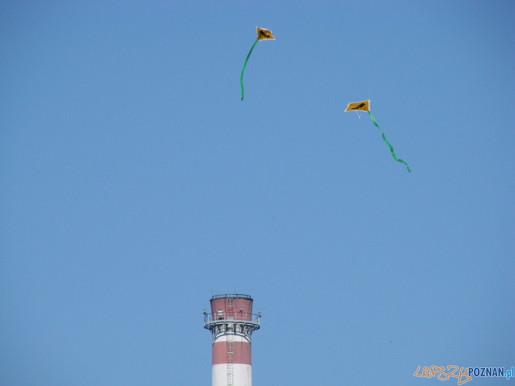Poznański Piknik Rodzinny Foto: lepszyPOZNAN.pl / ag Poznański Piknik Rodzinny Foto: lepszyPOZNAN.pl / ag