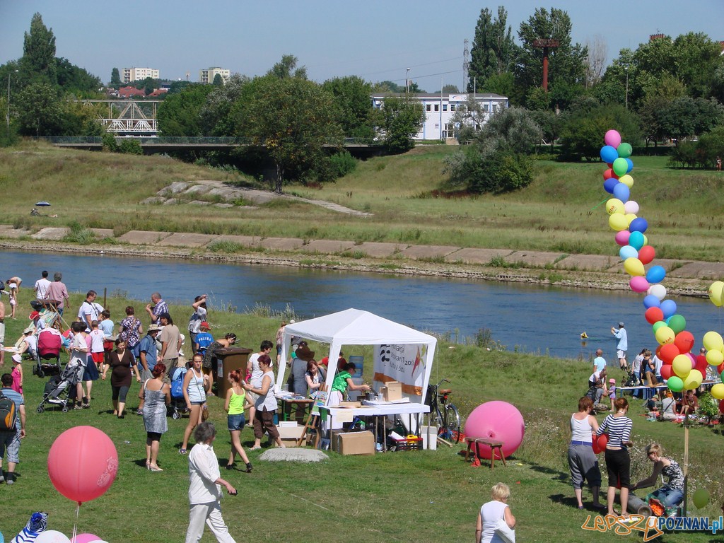 Poznański Piknik Rodzinny Foto: lepszyPOZNAN.pl / ag Poznański Piknik Rodzinny Foto: lepszyPOZNAN.pl / ag