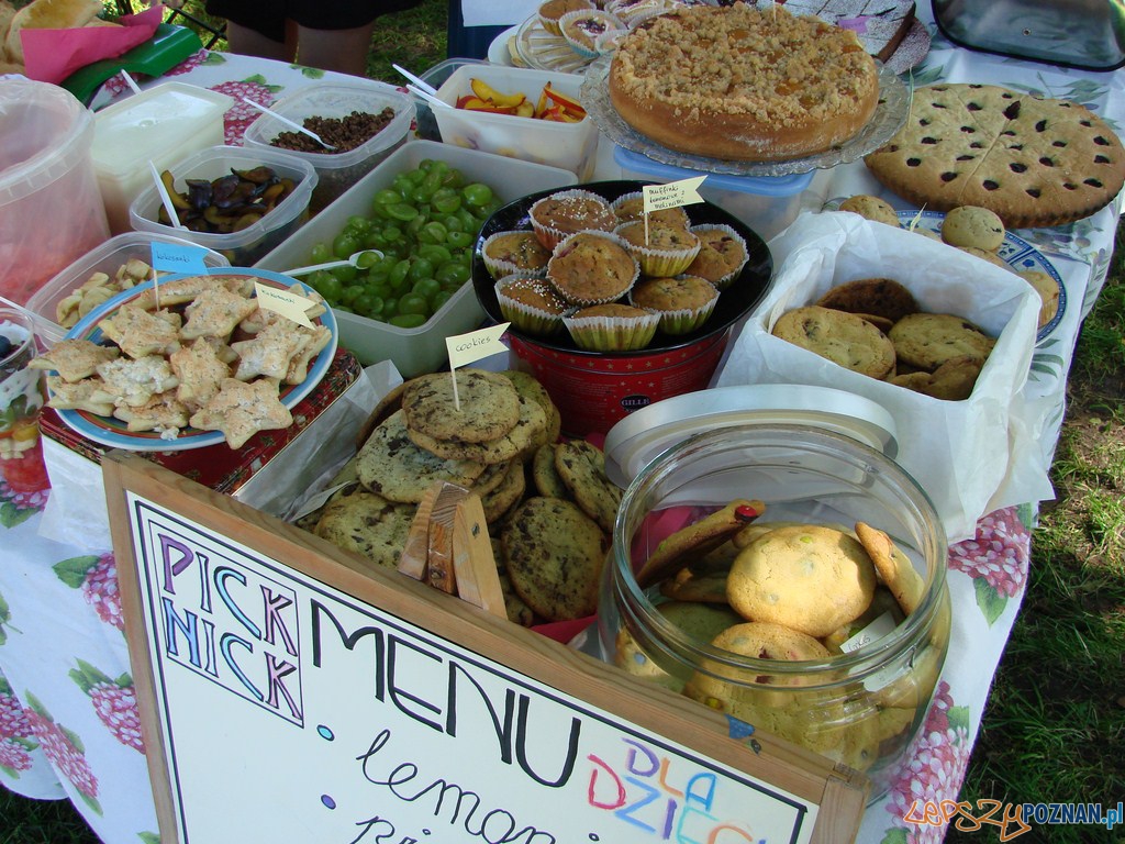 Restaurant Day - Pick Nick! w parku Mickiewicza Foto: lepszyPOZNAN.pl / ag Restaurant Day - Pick Nick! w parku Mickiewicza Foto: lepszyPOZNAN.pl / ag