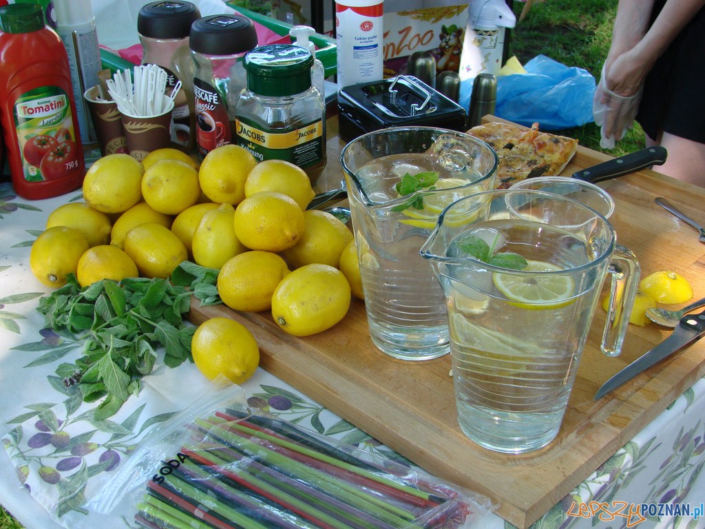 Restaurant Day - Pick Nick! w parku Mickiewicza Foto: lepszyPOZNAN.pl / ag Restaurant Day - Pick Nick! w parku Mickiewicza Foto: lepszyPOZNAN.pl / ag