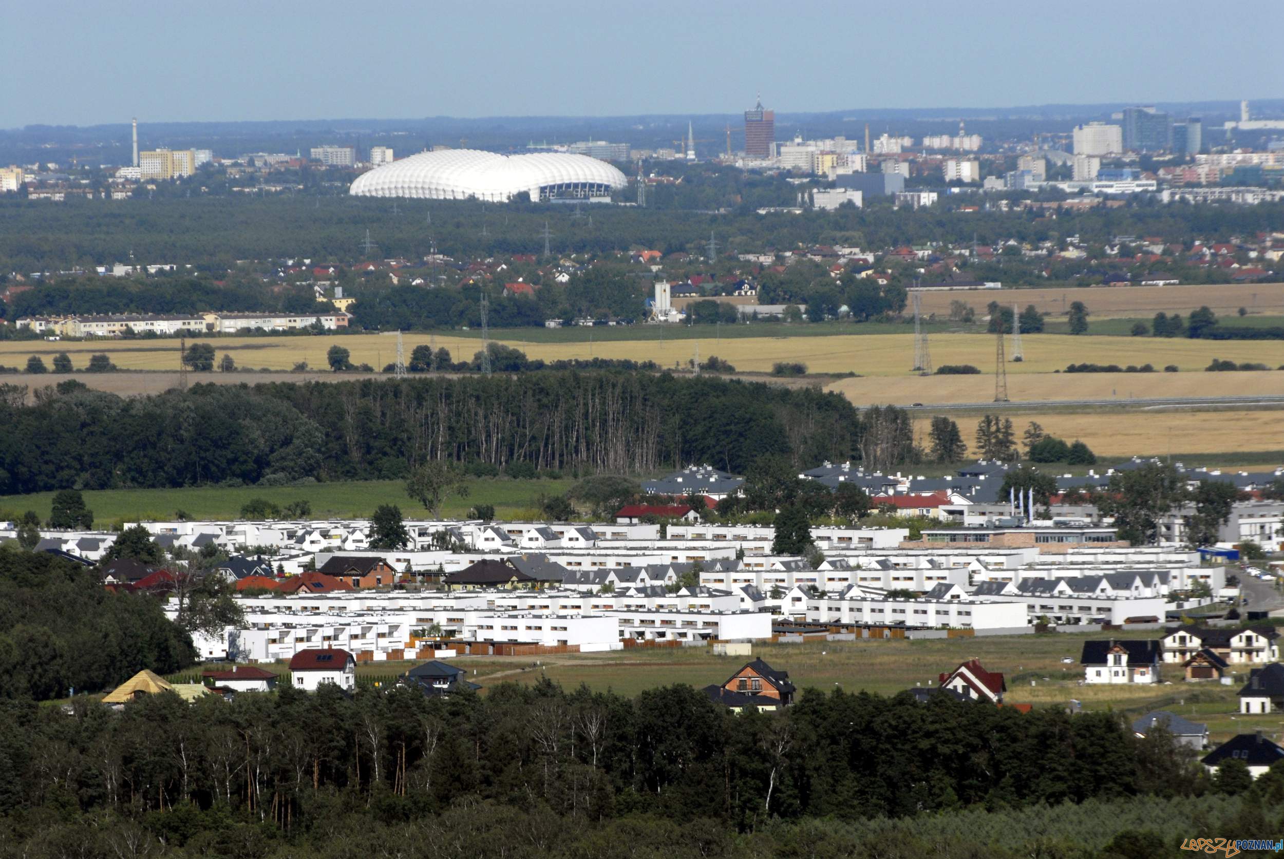 Dąbrówka  Foto: materiały prasowe
