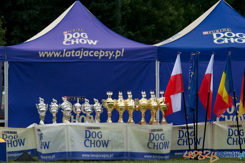 Dog Chow 2012 w parku Cytadela Foto: Ewelina Gutowska Dog Chow 2012 w parku Cytadela Foto: Ewelina Gutowska