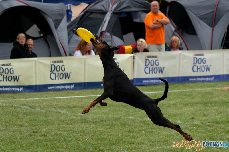 Dog Chow 2012 w parku Cytadela Foto: Ewelina Gutowska Dog Chow 2012 w parku Cytadela Foto: Ewelina Gutowska