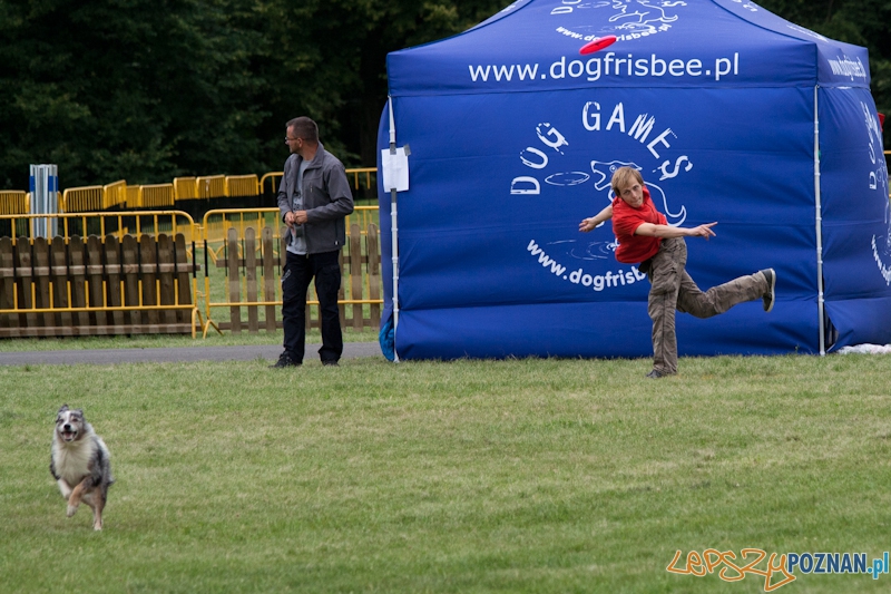 Dog Chow 2012 w parku Cytadela Foto: Ewelina Gutowska Dog Chow 2012 w parku Cytadela Foto: Ewelina Gutowska