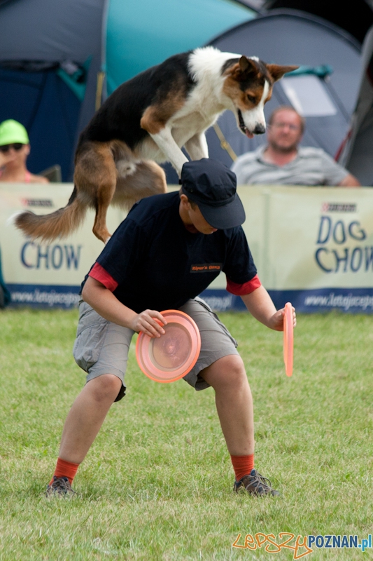 Dog Chow w parku Cytadela 2012 Foto: Ewelina Gutowska Dog Chow w parku Cytadela 2012 Foto: Ewelina Gutowska