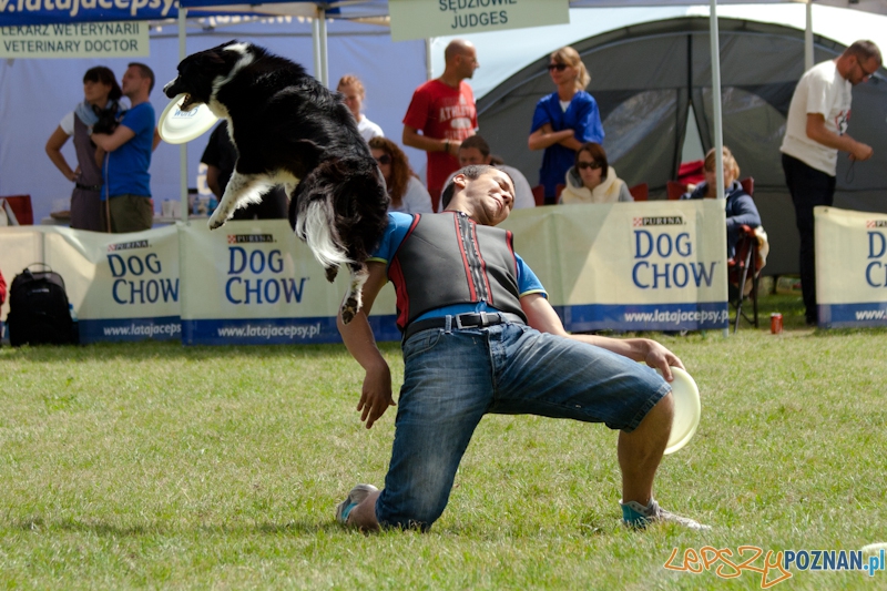 Dog Chow w parku Cytadela 2012 Foto: Ewelina Gutowska Dog Chow w parku Cytadela 2012 Foto: Ewelina Gutowska