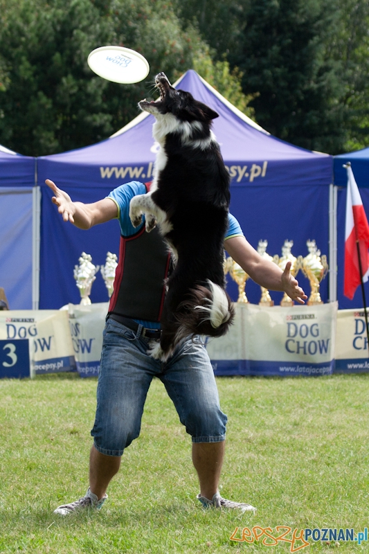 Dog Chow w parku Cytadela 2012 Foto: Ewelina Gutowska Dog Chow w parku Cytadela 2012 Foto: Ewelina Gutowska