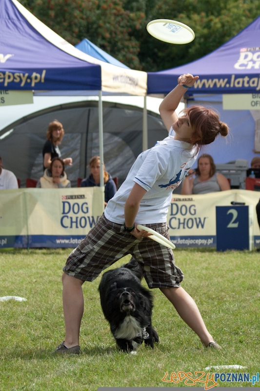 Dog Chow w parku Cytadela 2012 Foto: Ewelina Gutowska Dog Chow w parku Cytadela 2012 Foto: Ewelina Gutowska