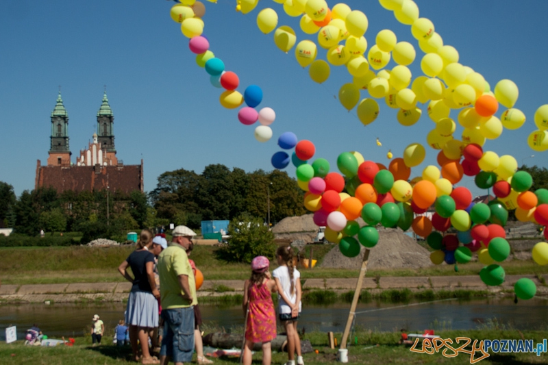 Poznański Piknik Rodzinny Foto: Ewelina Gutowska Poznański Piknik Rodzinny Foto: Ewelina Gutowska