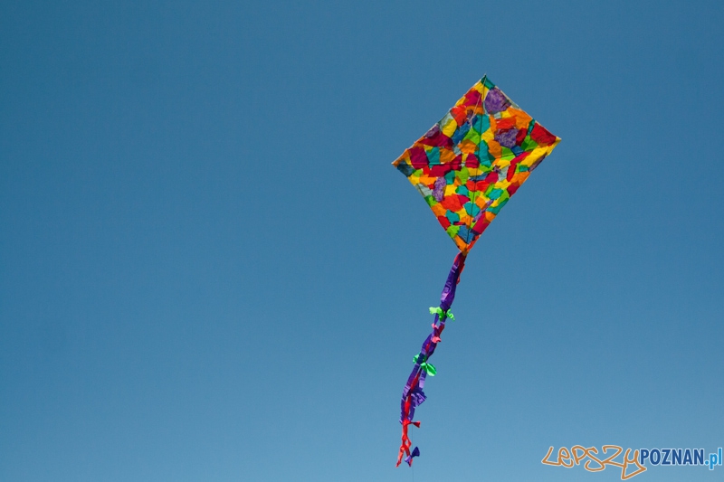 Poznański Piknik Rodzinny - Finał konkursu latawców Foto: lepszyPOZNAN.pl / Ewelina Gutowska Poznański Piknik Rodzinny - Finał konkursu latawców Foto: lepszyPOZNAN.pl / Ewelina Gutowska