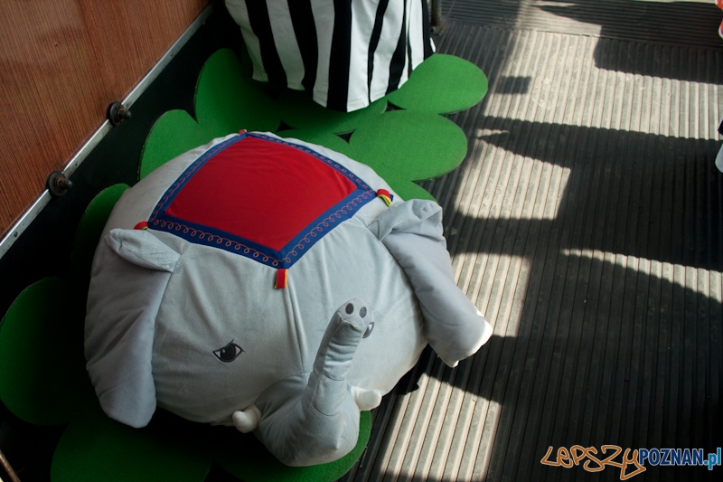 Helmut w barwach IKEA Foto: Ewelina Gutowska Helmut w barwach IKEA Foto: Ewelina Gutowska