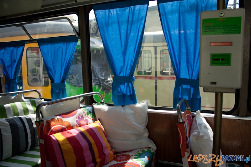 Helmut w barwach IKEA Foto: Ewelina Gutowska Helmut w barwach IKEA Foto: Ewelina Gutowska